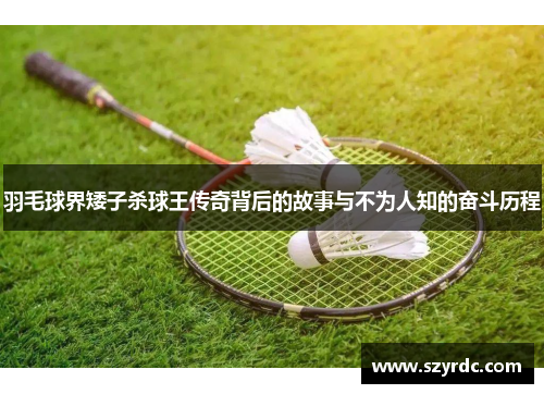 羽毛球界矮子杀球王传奇背后的故事与不为人知的奋斗历程