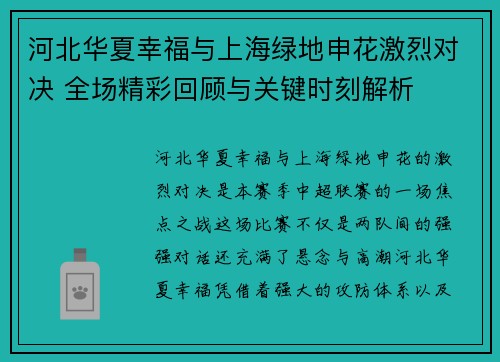 河北华夏幸福与上海绿地申花激烈对决 全场精彩回顾与关键时刻解析