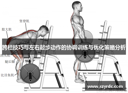 跨栏技巧与左右起步动作的协调训练与优化策略分析